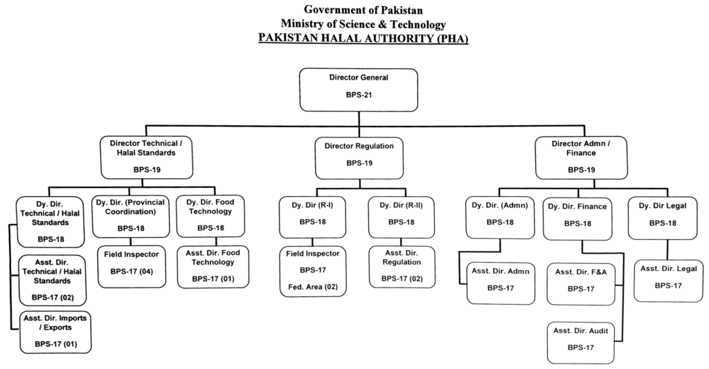 Organogram